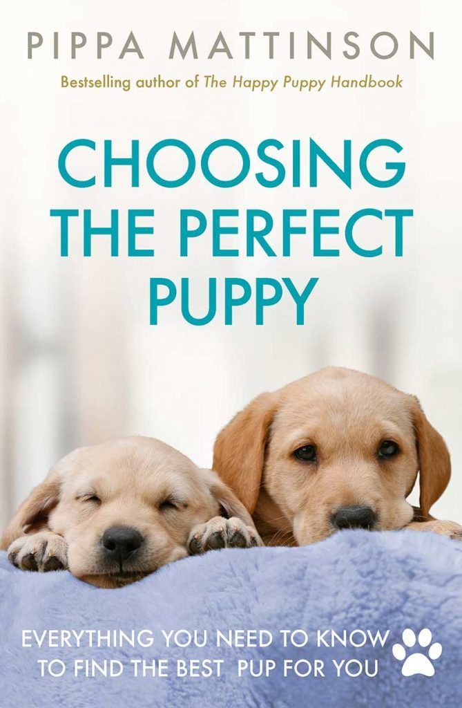 het kiezen van de perfecte puppy