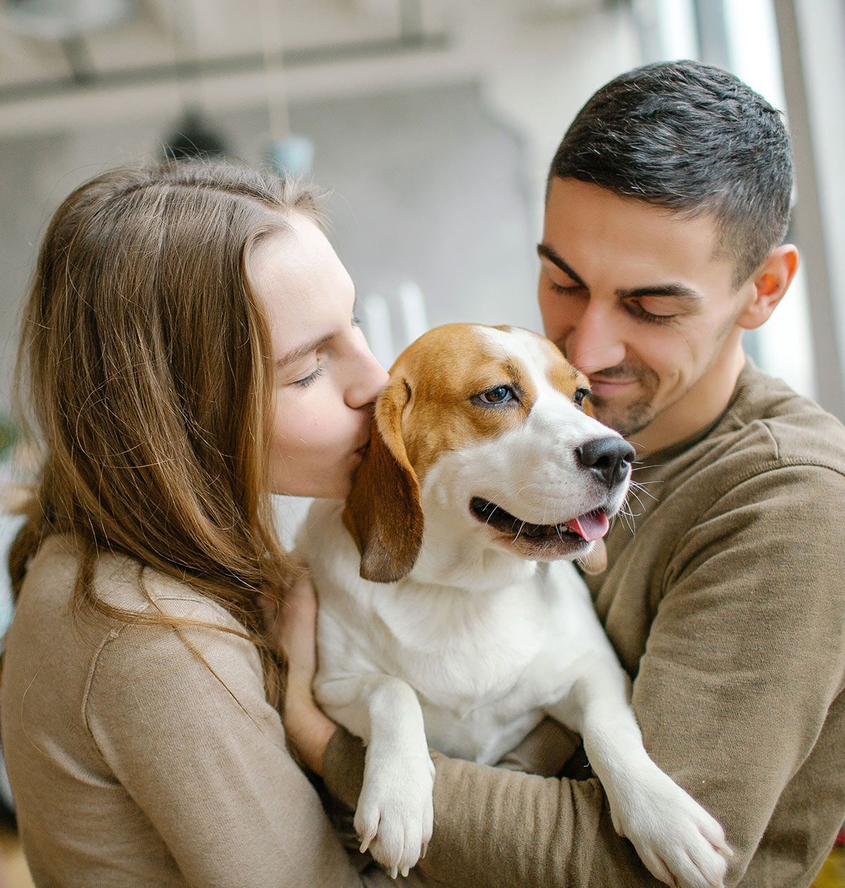 er beagles gode familiehunde