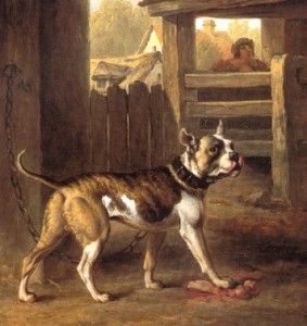 bulldoggi vuonna 1790