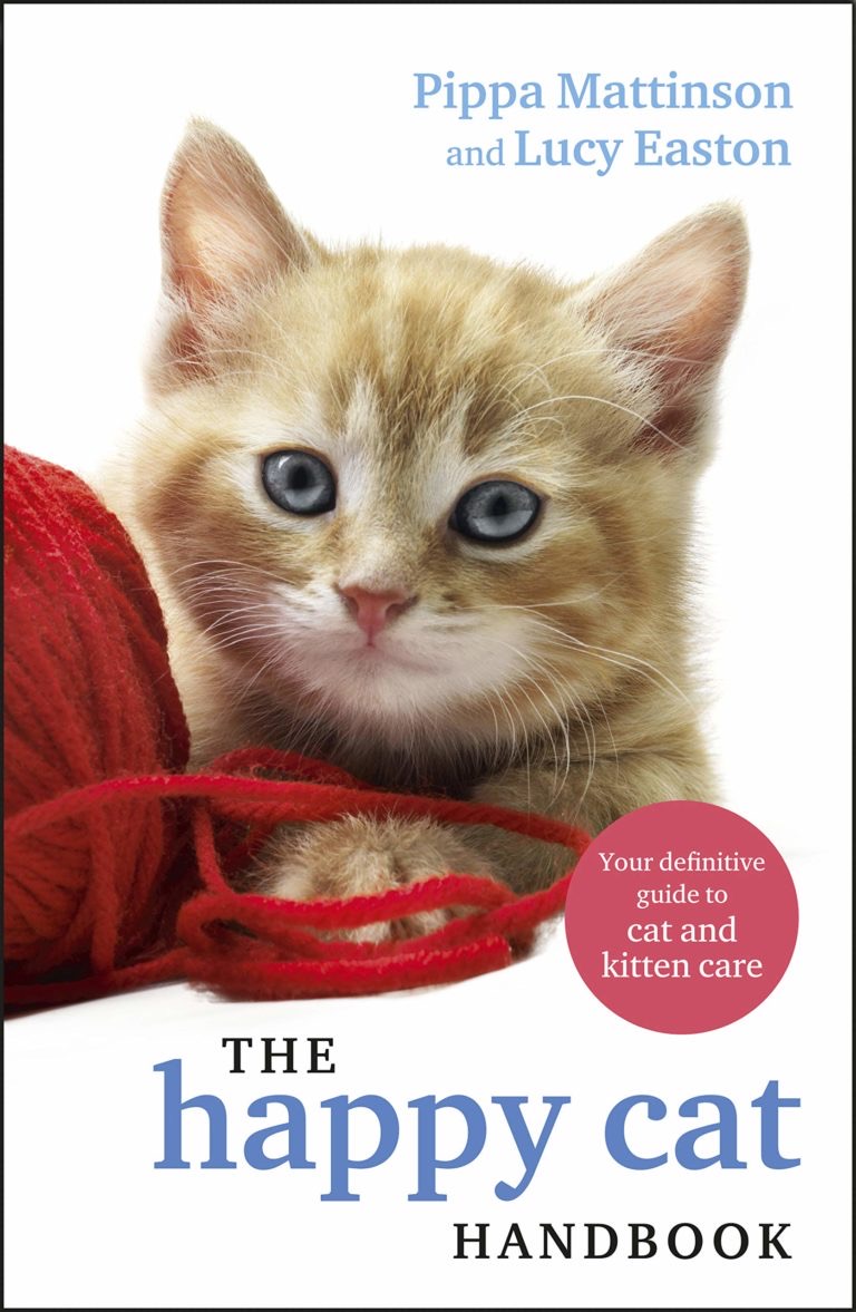ספר החתול השמח