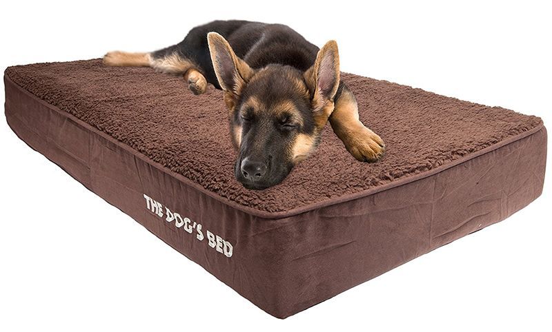 легло на немско овчарско куче