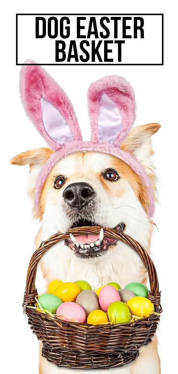 kutya húsvéti kosár