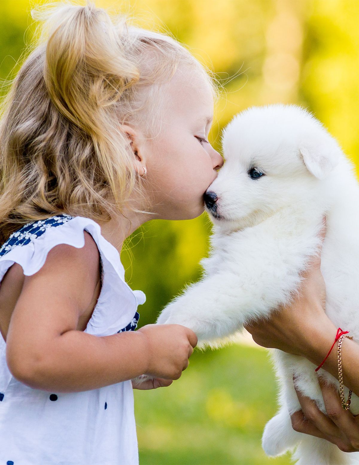 Да ли пси воле пољупце од људи?