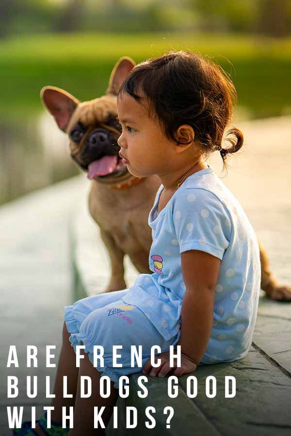 ovat ranskalaisia ​​bulldogeja hyviä lasten kanssa
