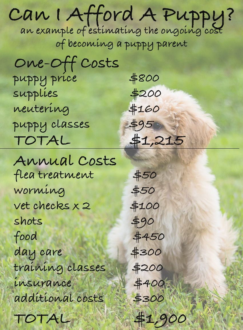 колико кошта пас