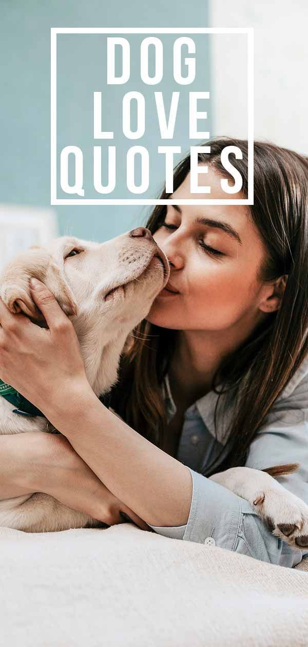 Dog Love Quotes, um Ihr Herz in einen Tail-Spin zu schicken