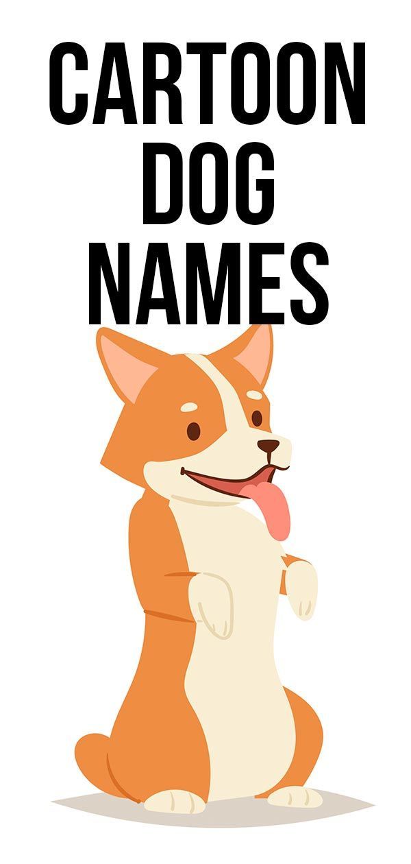 Karikatūrų šunų vardai
