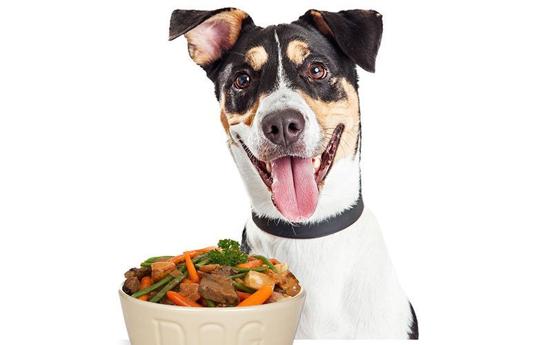 Могу ли пси јести боранију?