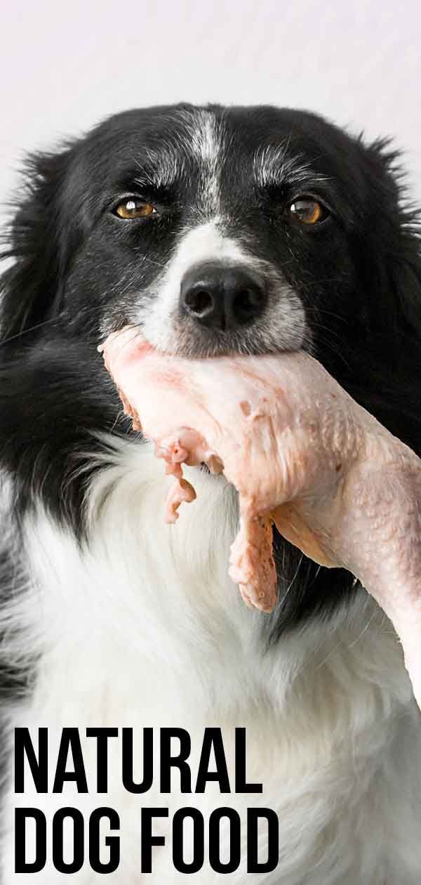מזון טבעי לכלבים - כיצד להאכיל את כלבכם כפי שהתכוון לטבע