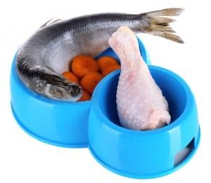 el peix és un aliment cru per als gossos
