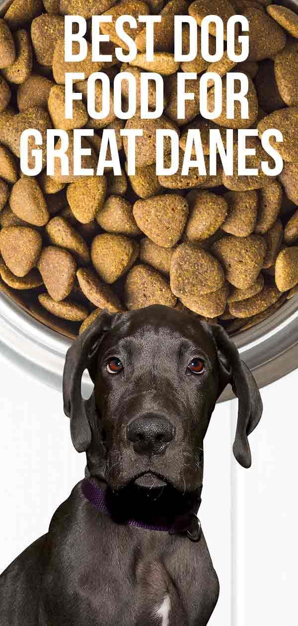 Geriausias šunų maistas danams ir kitoms didelėms veislėms