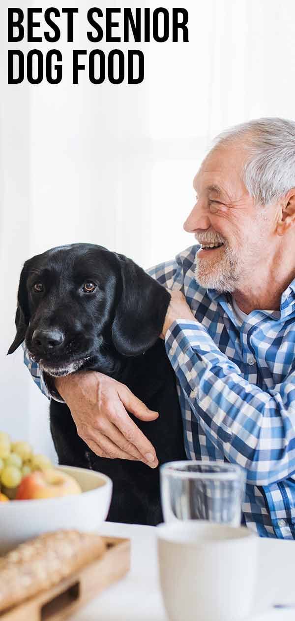 Geriausias senjorų šunų maistas - išlaikyti jūsų vyresnį gyvūną laimingą ir sveiką