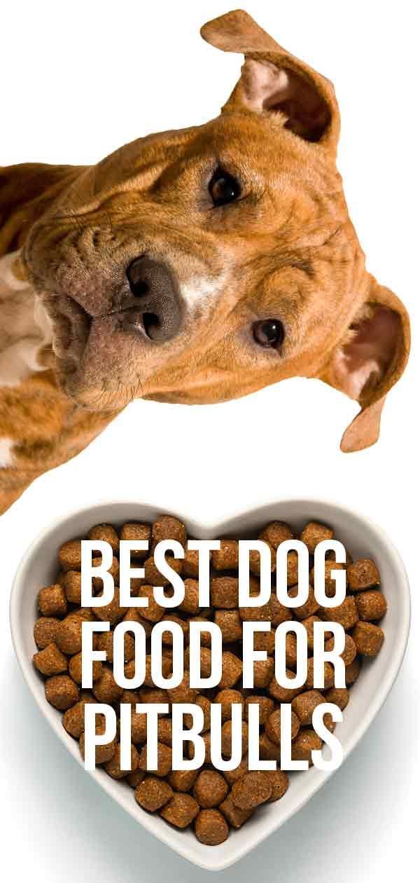 อาหารสุนัขที่ดีที่สุดสำหรับพิทบูล