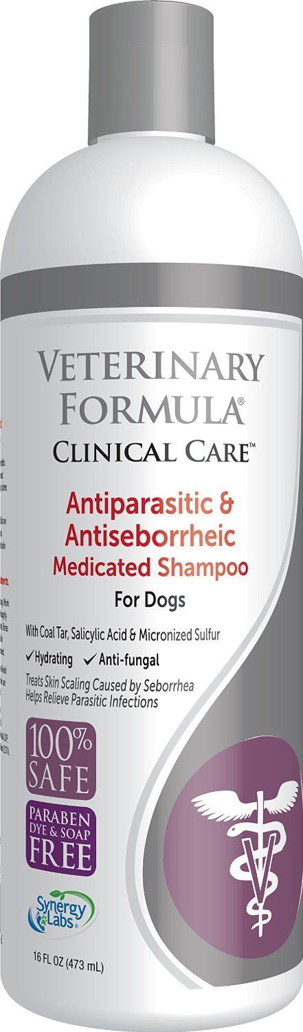Shampooing antipelliculaire pour chien