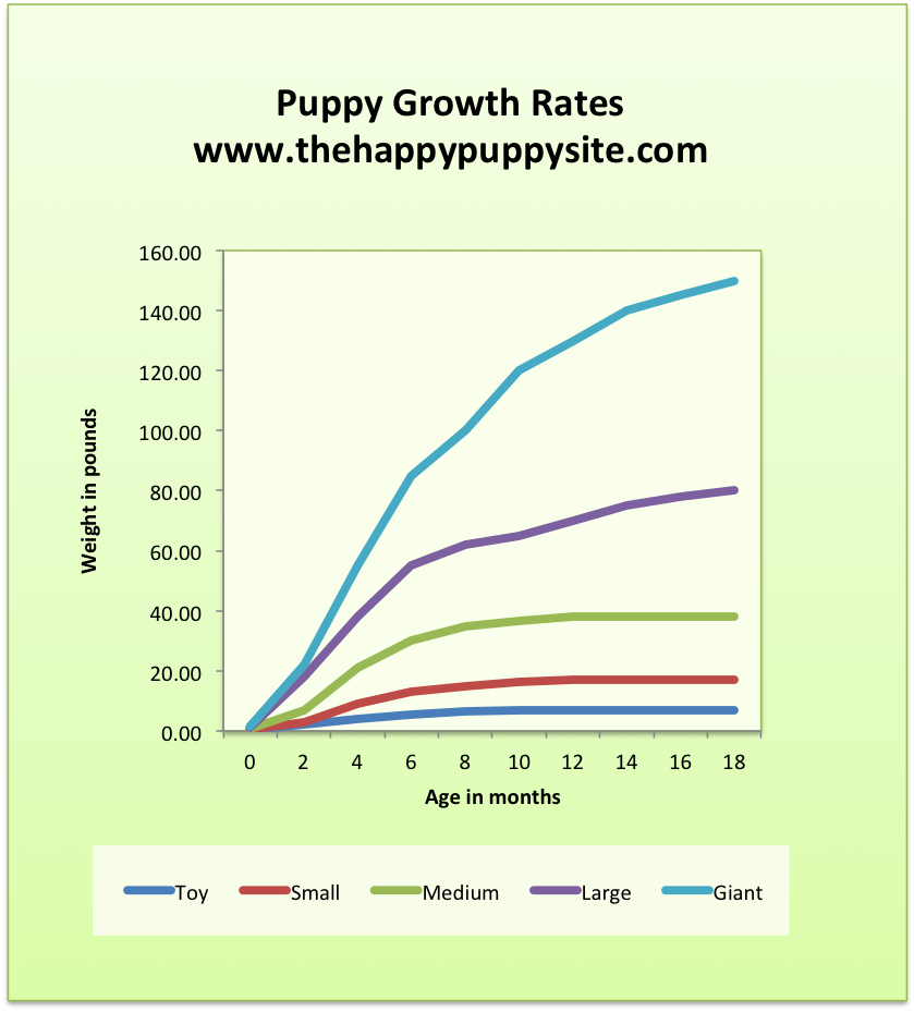 子犬の成長と犬の体重チャート