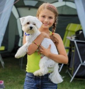 Kesä teltassa - nuori tyttö leikkii koiran kanssa leirintäalueella
