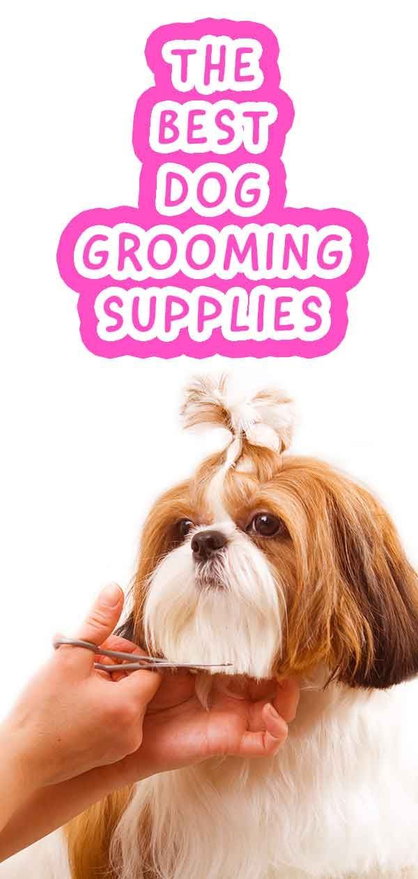 Consulteu les nostres recomanacions per a kits de perruqueria professional per a gossos.