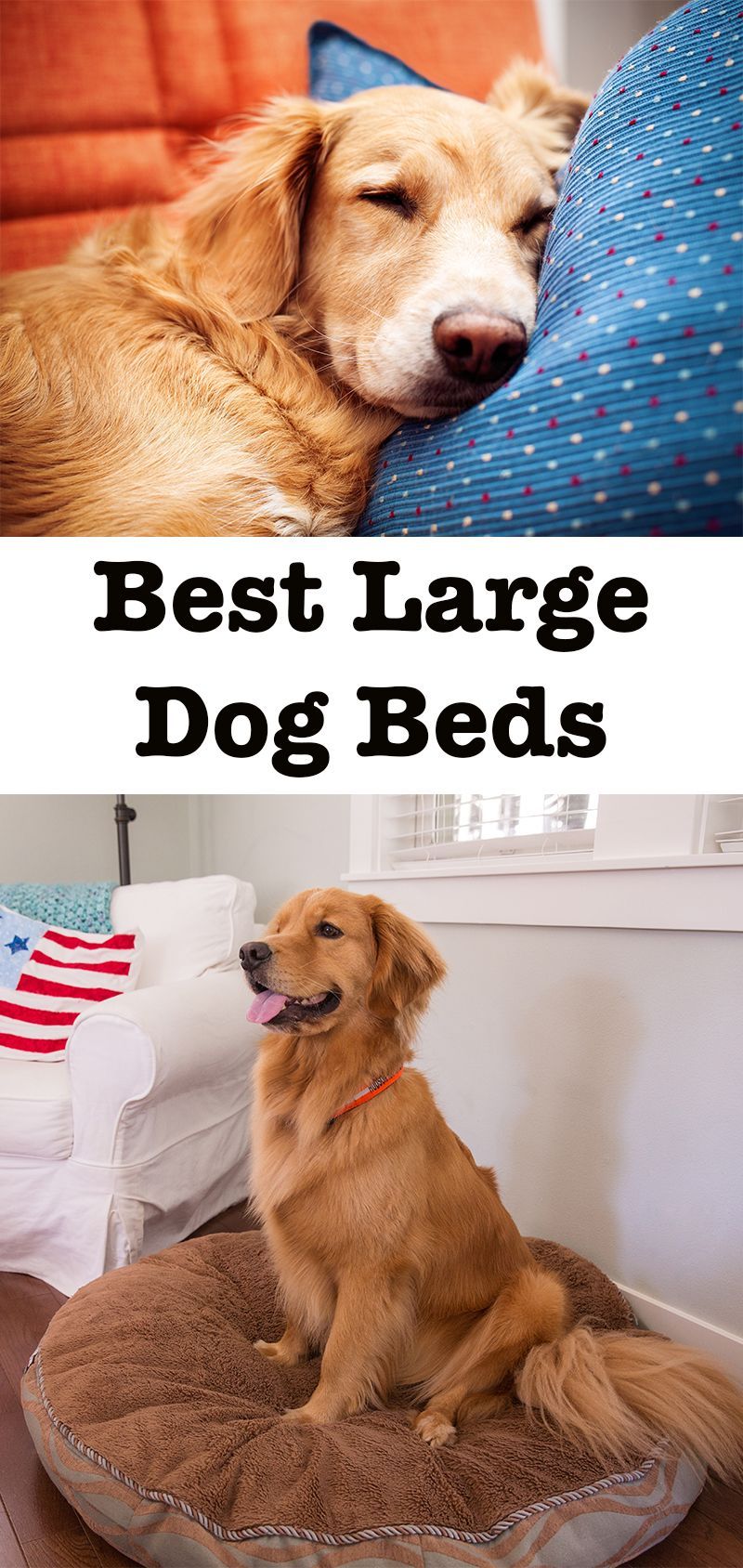 labākās lielās suņu gultas