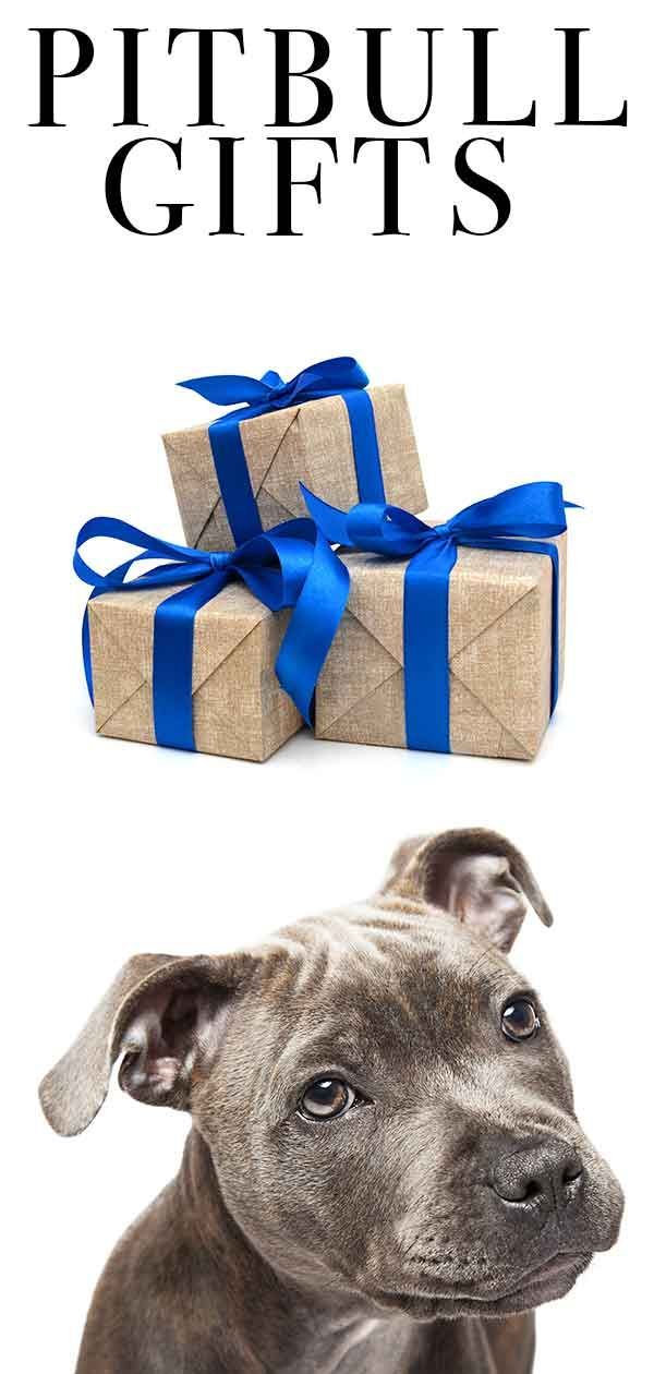 pitbull-gåvor