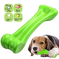 Beste Hundespielzeug für Beagles - Tolle Ideen, um Ihren pelzigen Freund glücklich zu machen