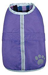 Manteaux pour petits chiens: les petits sacs les mieux habillés