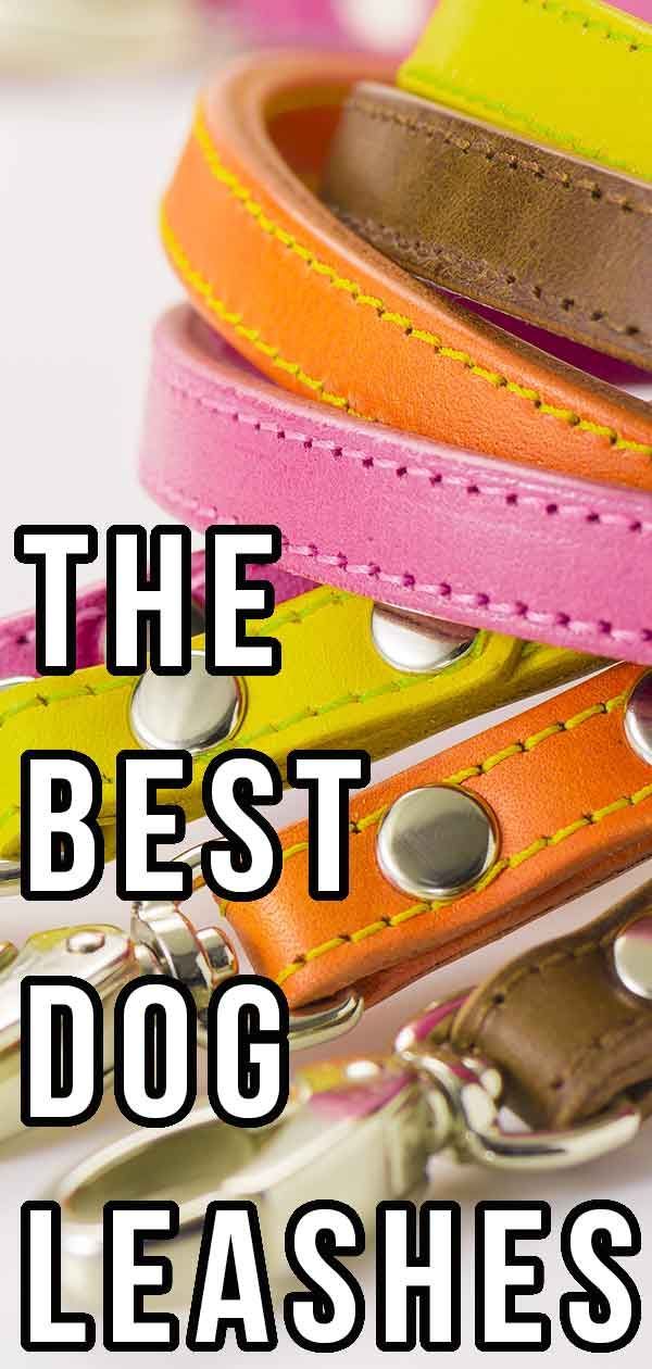 Najboljši pasji povodci - kaj je primerno za vas in vašega psa?