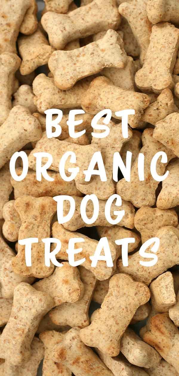 Beste Bio-Hundefestlichkeiten - Welche Marke passt am besten zu Ihrem Welpen?