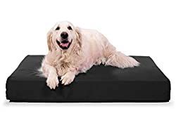 Millor llit per a gossos indestructibles - Revisió i consells per a Extreme Chewers