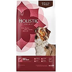 холистичка храна за псе за осетљив стомак