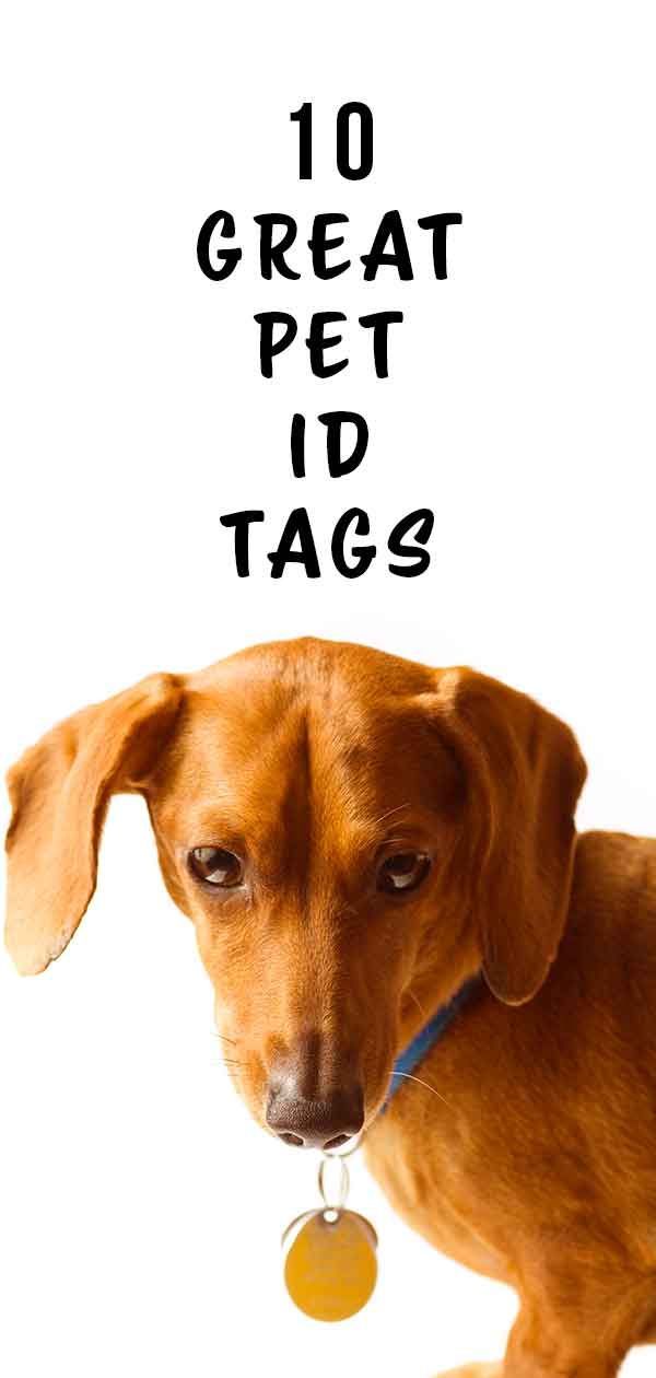 ID-tags voor huisdieren