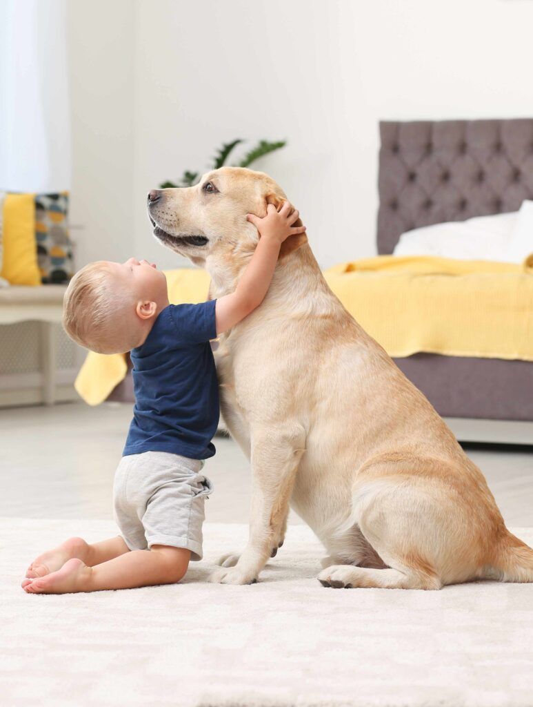 Honden en kinderen - De vrede bewaren als je binnenshuis vastzit!